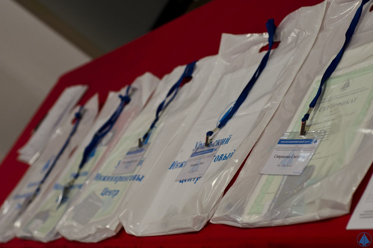 VIII Annual International Seminar